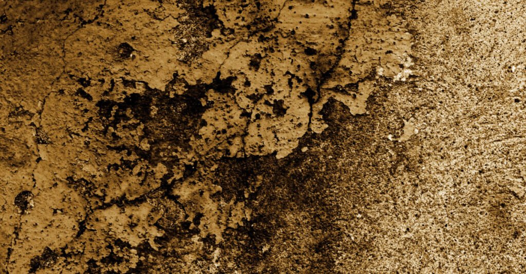 Cleaning Wall Art for Resale: Simple Steps to Boost Value and Attract Buyers Cleaning Wall Art for Resale: Simple Steps to Boost Value and Attract Buyers