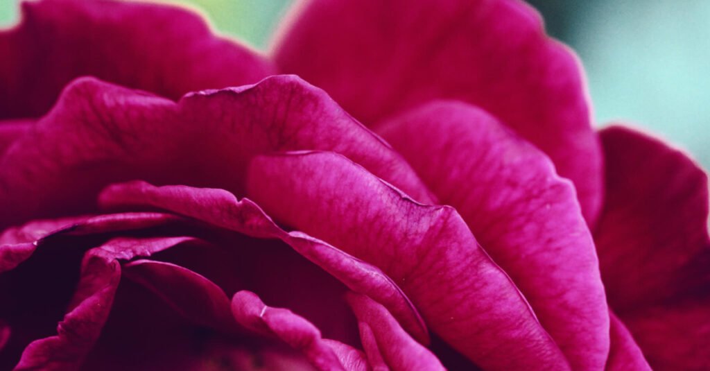 How to Repair Damaged Wall Art: Easy Steps to Restore Your Treasured Pieces