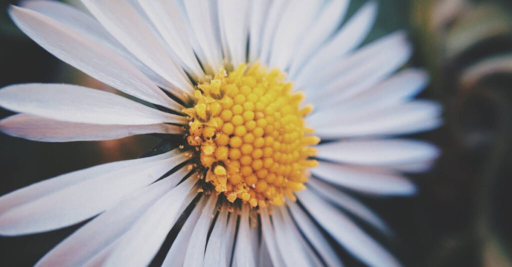 Top Spring Wall Art Trends to Brighten Your Home with Color, Nature & Texture